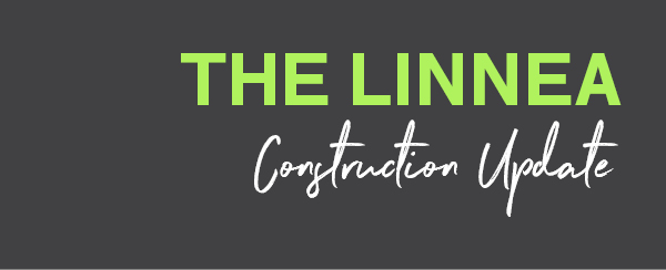 The Linnea:  Framing Out